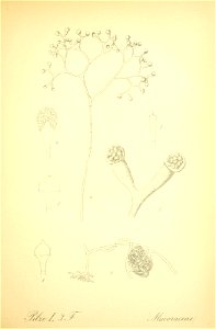 n284_w1150