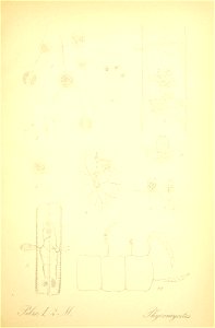 n184_w1150