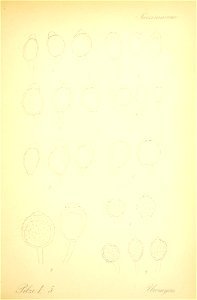 n398_w1150