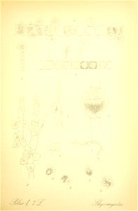n174_w1150