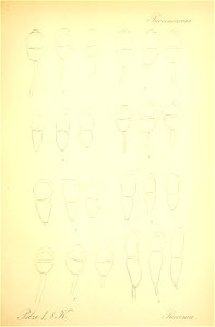 n604_w1150