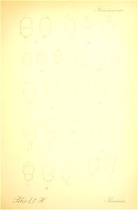 n500_w1150