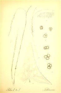 n384_w1150
