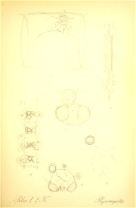 n166_w1150