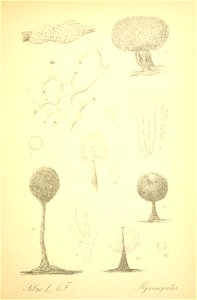 n50_w1150