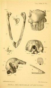 n438_w1150