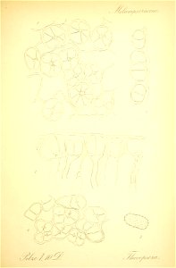 n666_w1150