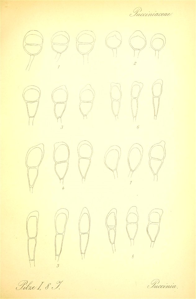n592_w1150
