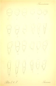 n592_w1150