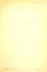 n494_w1150