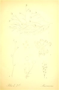 n270_w1150