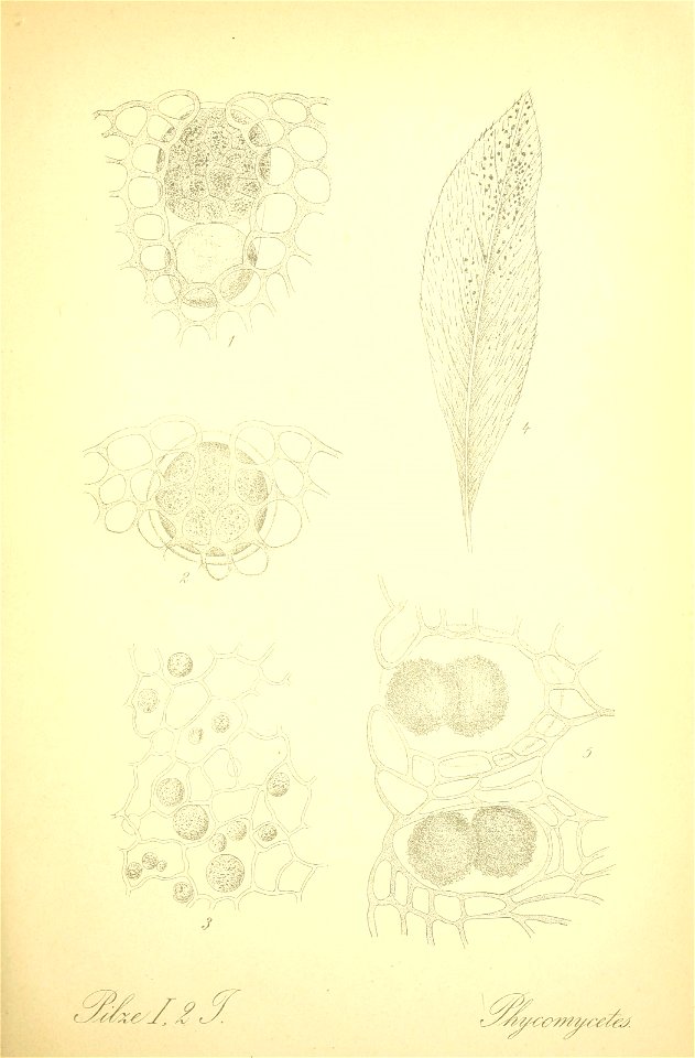 n158_w1150