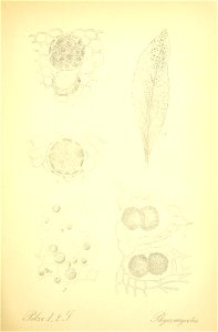 n158_w1150