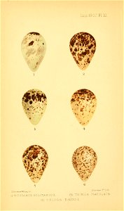 n615_w1150