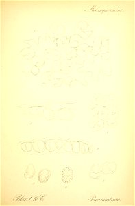 n660_w1150