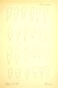 n588_w1150