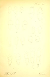 n488_w1150