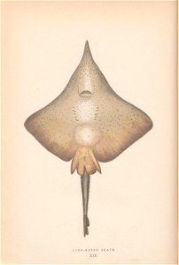 n143_w1150
