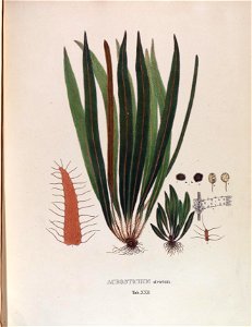 n160_w1150