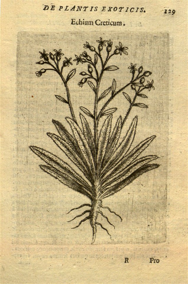 n143_w1150