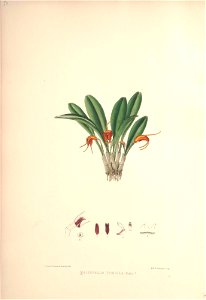 n171_w1150