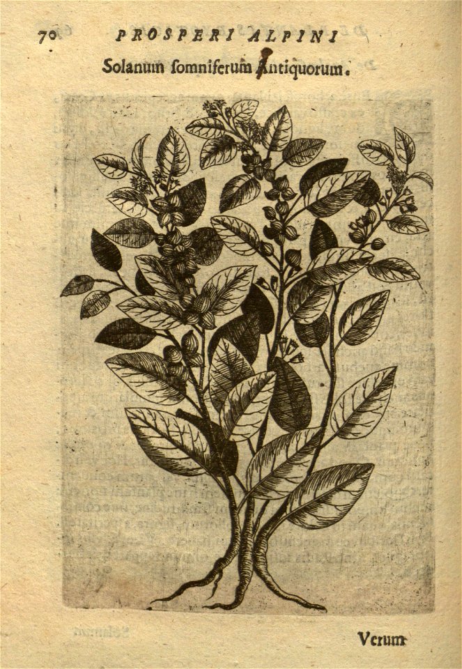 n84_w1150