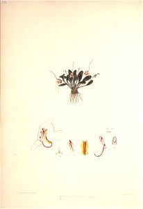 n121_w1150