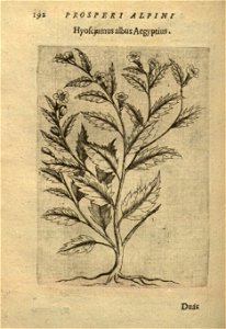 n206_w1150