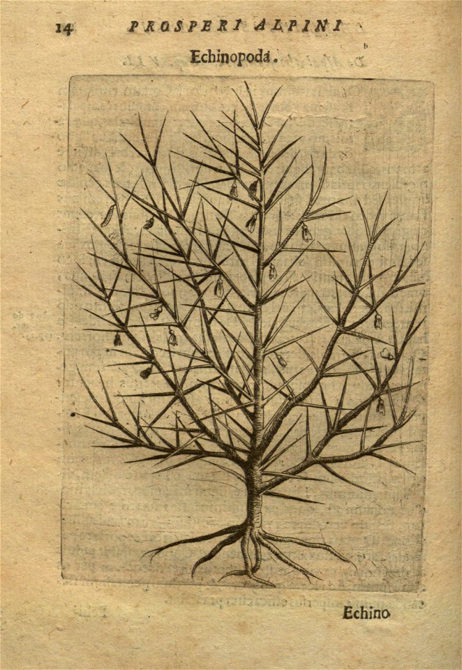 n28_w1150