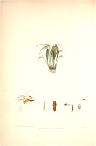 n115_w1150