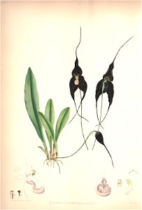 n205_w1150