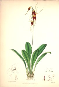 n157_w1150