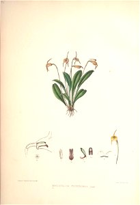 n245_w1150
