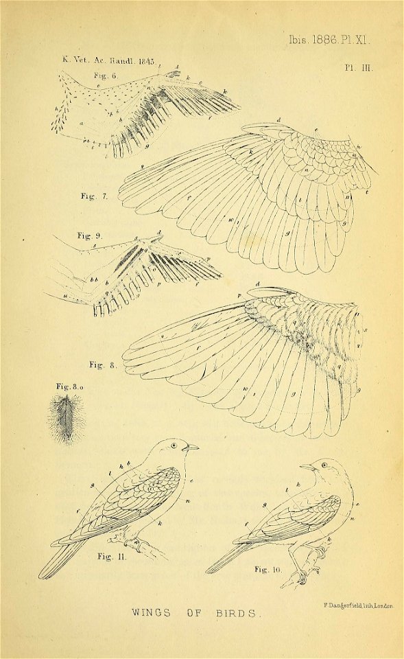 n506_w1150