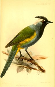 n674_w1150