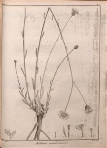 n118_w1150