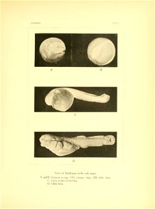 n126_w1150