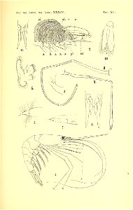 n190_w1150