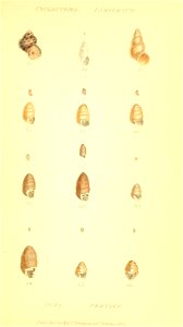 n168_w1150