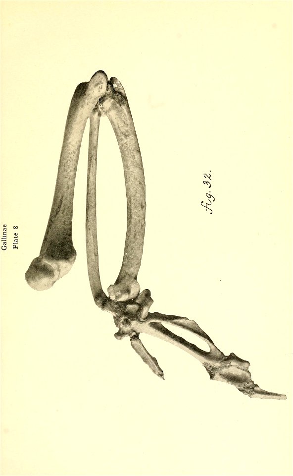 n298_w1150