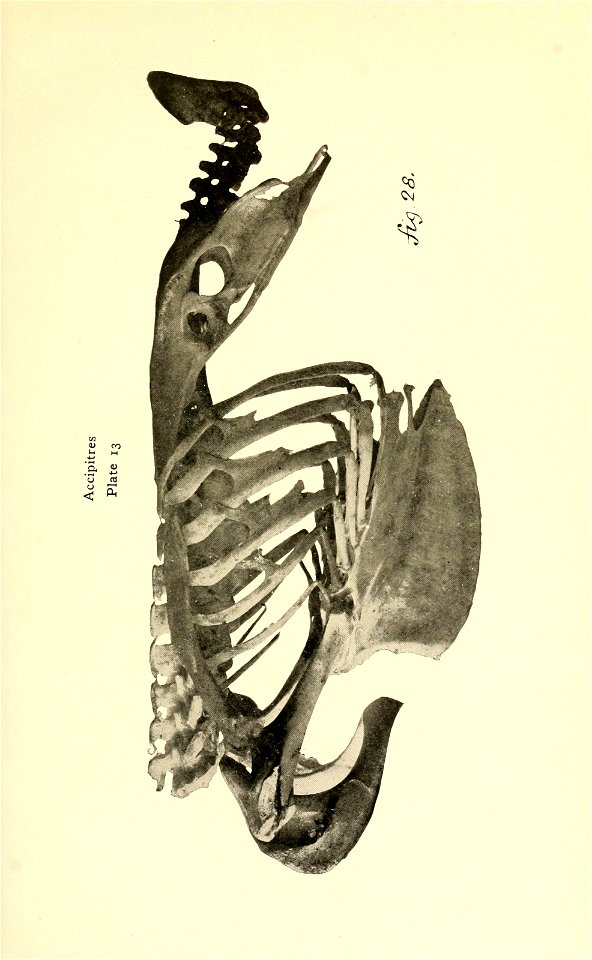 n190_w1150