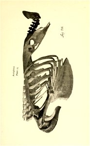 n190_w1150