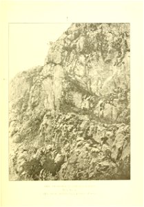 n518_w1150
