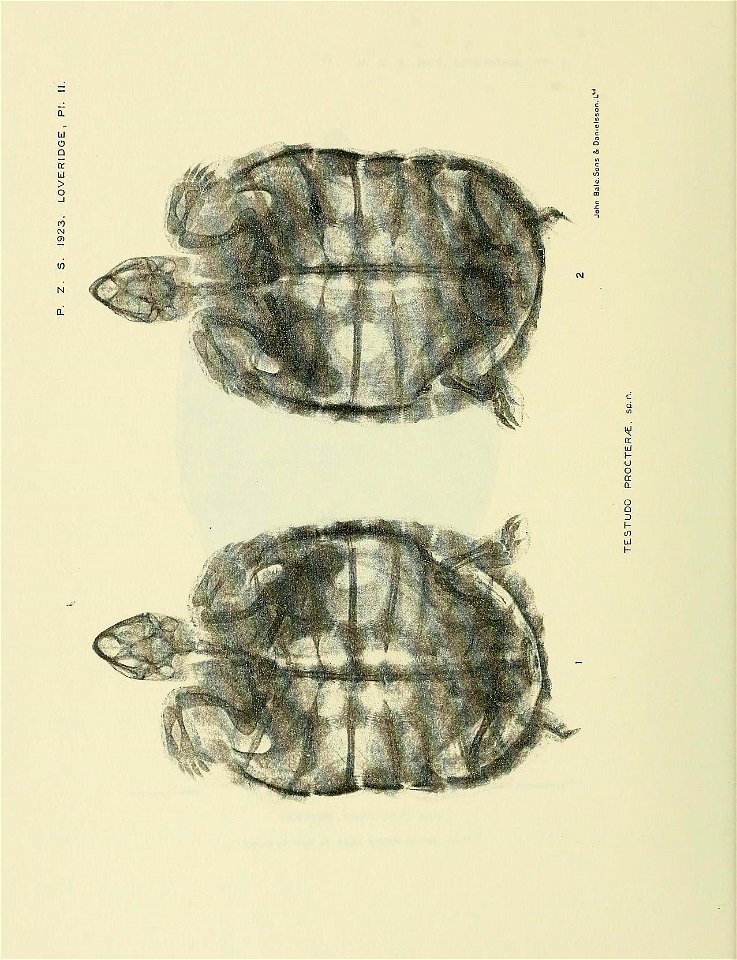 n513_w1150