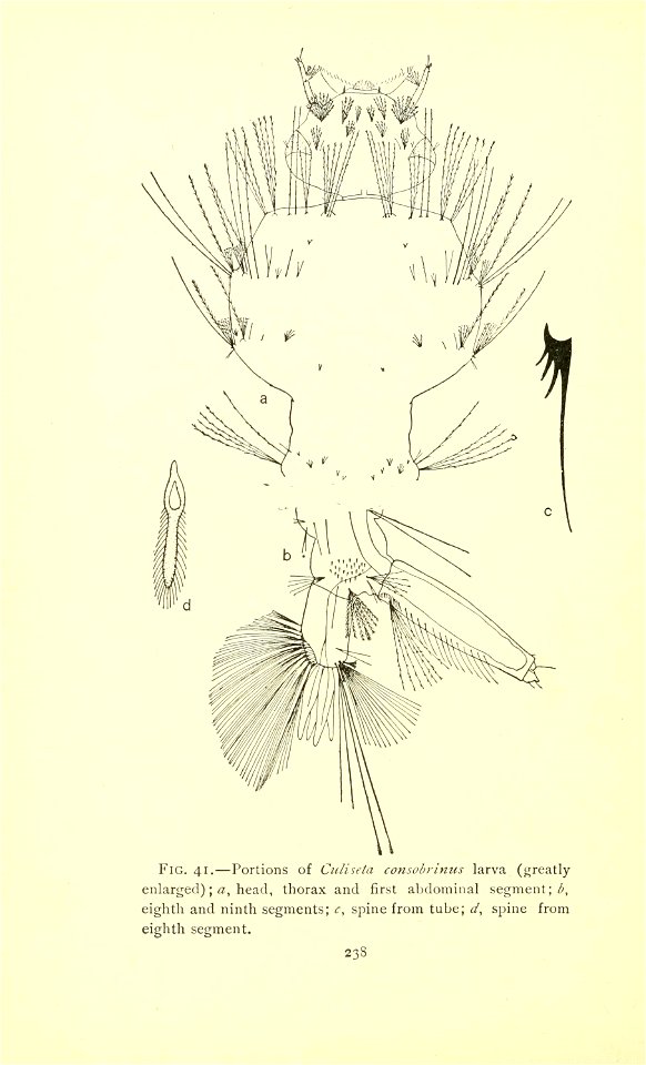 n285_w1150