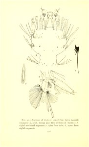 n285_w1150
