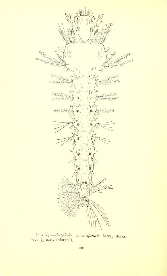 n163_w1150