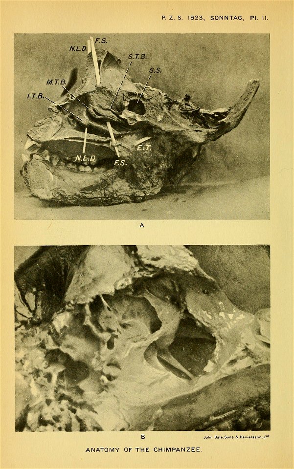 n397_w1150
