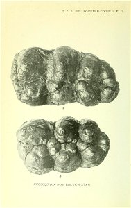 n195_w1150