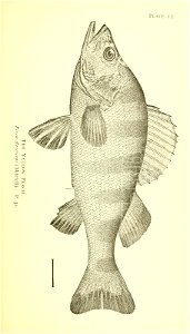 n72_w1150